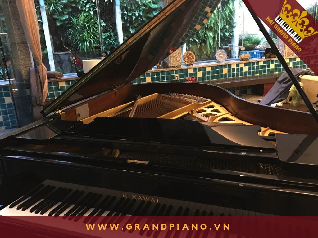 grand-piano-kg-3_001