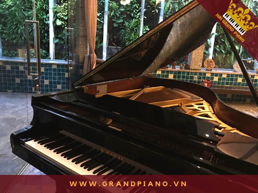 grand-piano-kg-3_002