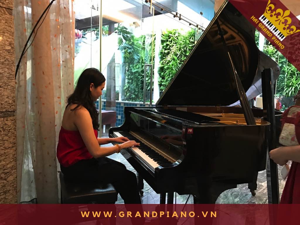 grand-piano-kg-3_003