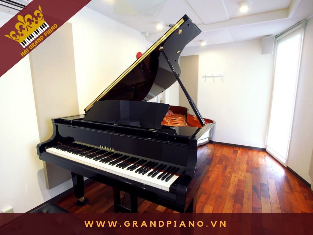 Phan Long | Đàn Grand Piano Yamaha C7B | Quận 2 