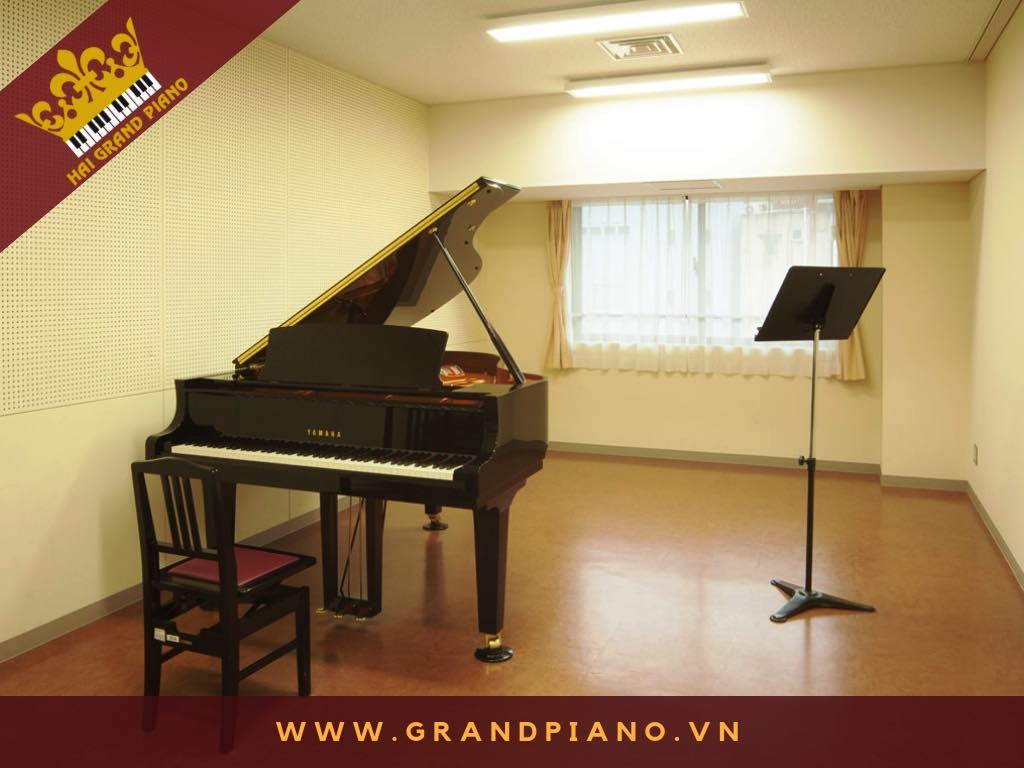 Hồng Mơ | Phòng Tập Nhạc | Grand Piano Yamaha G2 | Quận 7 