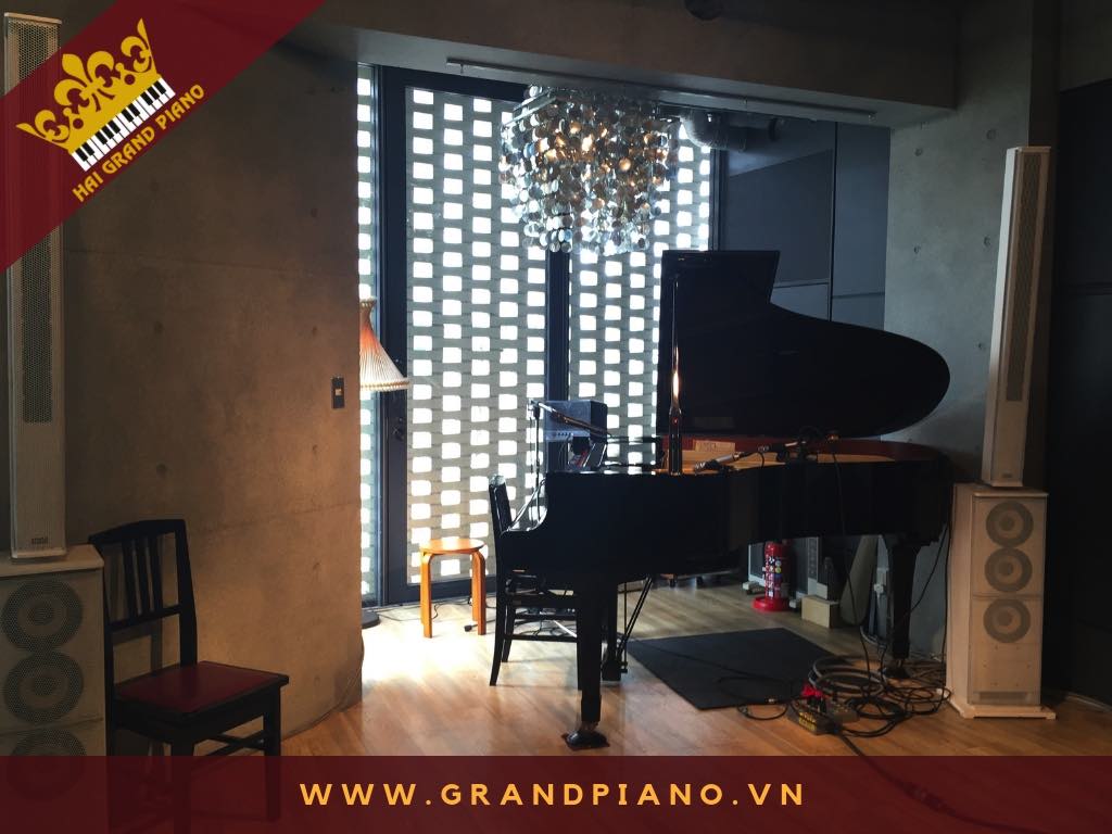 PHI LONG | |ĐÀN GRAND PIANO DIAPASON 183 | QUẬN PHÚ NHUẬN 