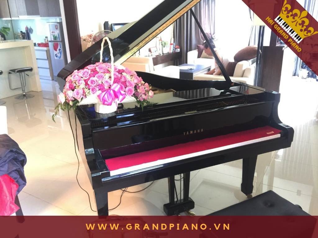 grand-piano-yamaha-c3_002