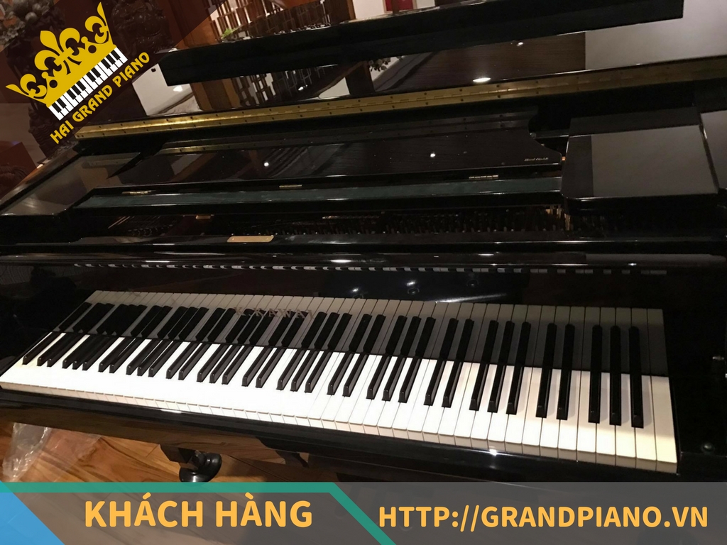 grand-piano-28