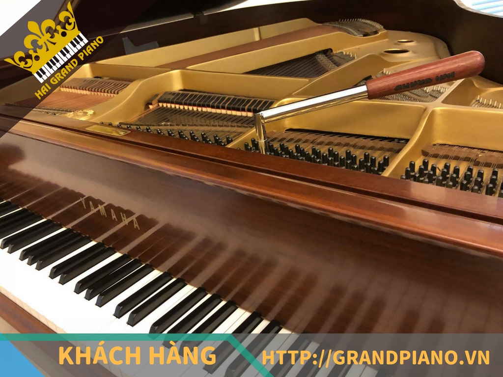 grand-piano-19