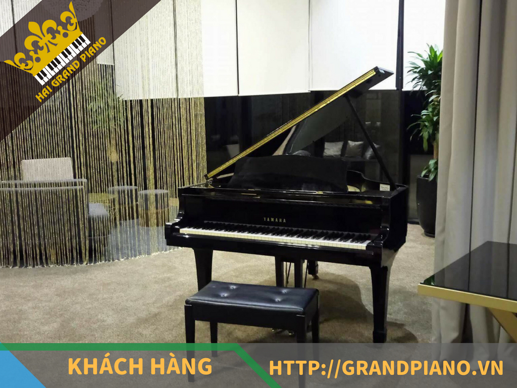 Tiến Phước - Đàn Grand Piano Yamaha G3E 