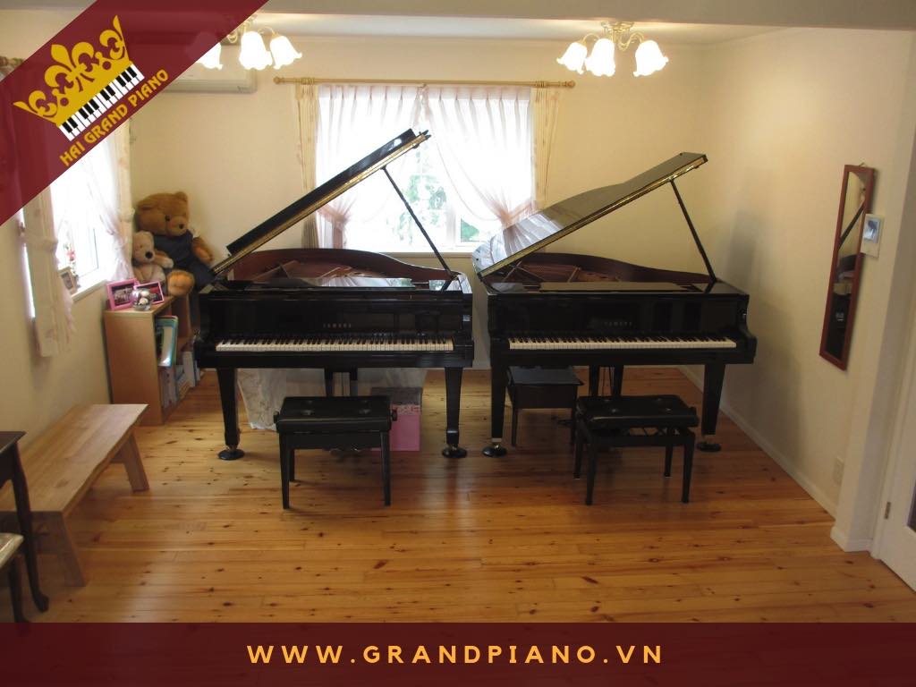 Phan Hoàng | Grand Piano G2A + Grand Piano GB-1 | Quận 2 