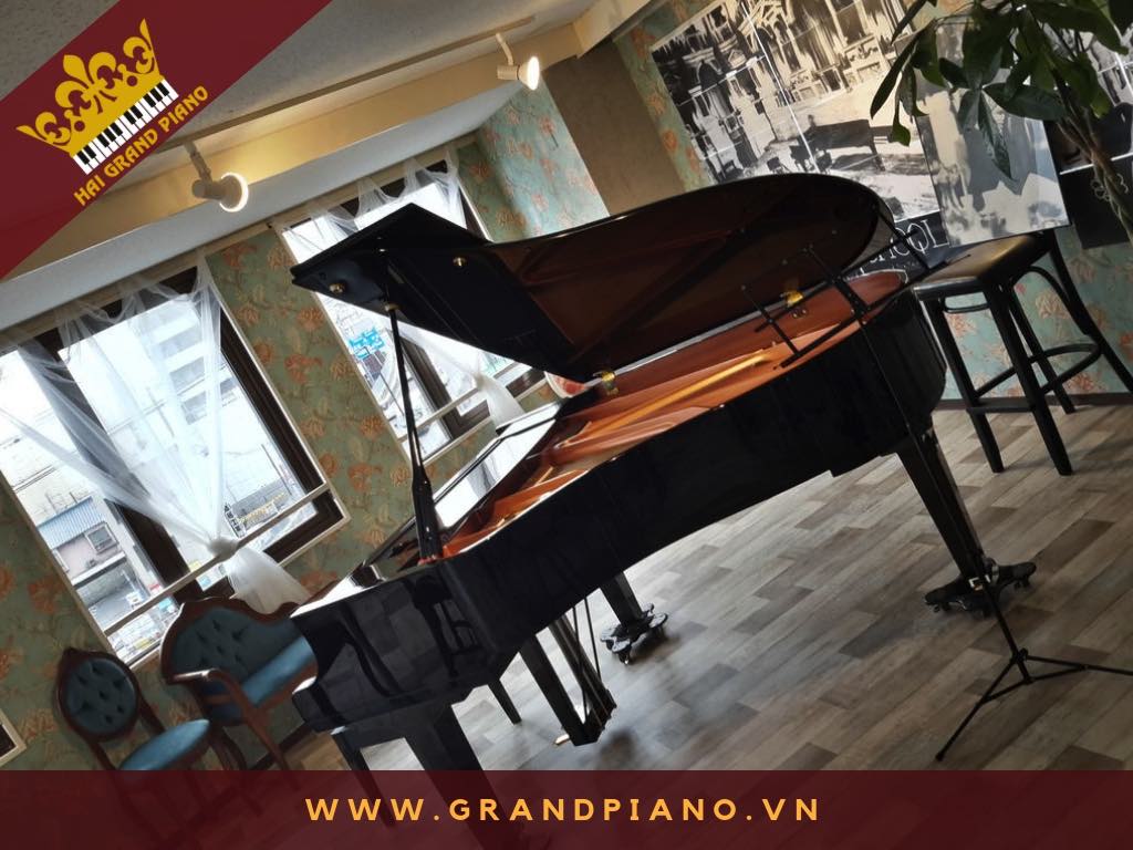 BẠCH VỸ | Đàn Grand Piano Yamaha G2E | Quận 7 