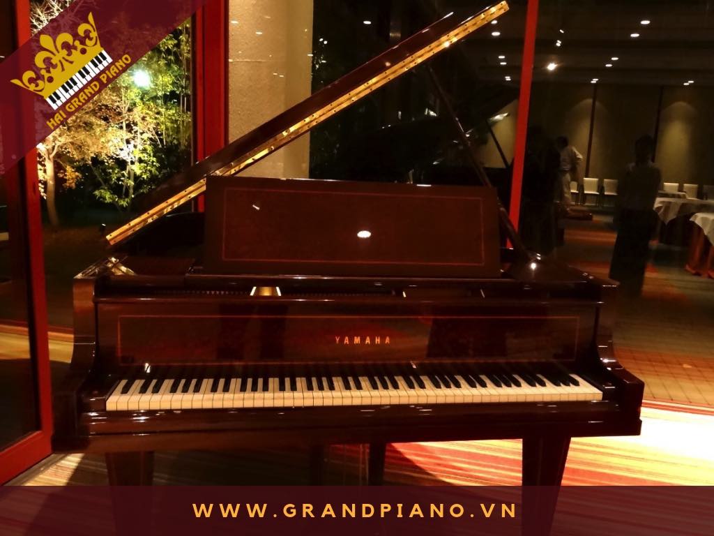 Hồng Liên | Grand Piano Yamaha No.20 Nâu Gỗ | Quận Bình Tân 