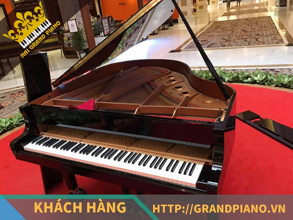 The Grand Hồ Tràm - Đàn Grand Piano Yamaha G2 