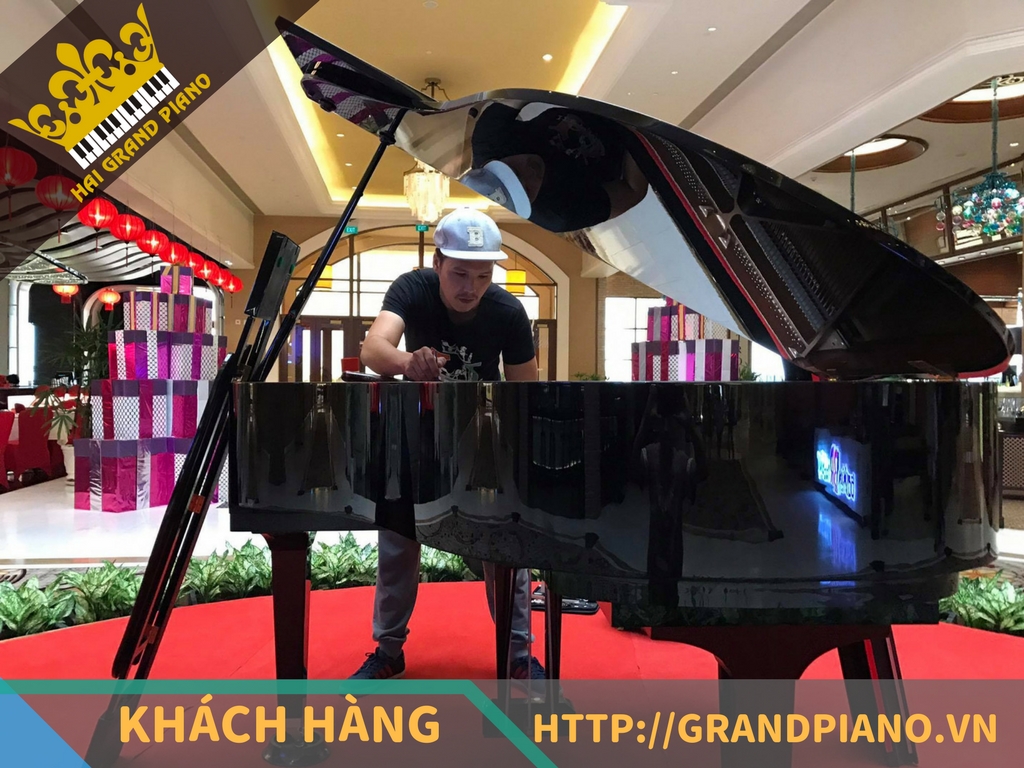 grand-piano-23