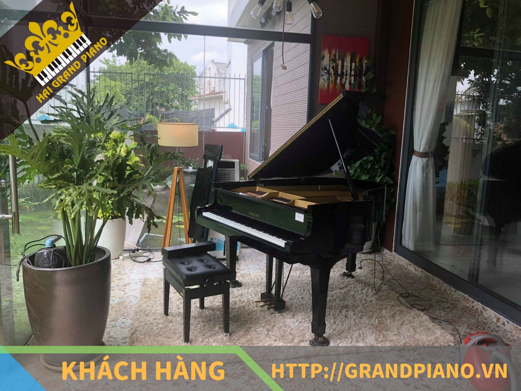 Viết Cường - Đàn Grand Piano Yamaha G2E