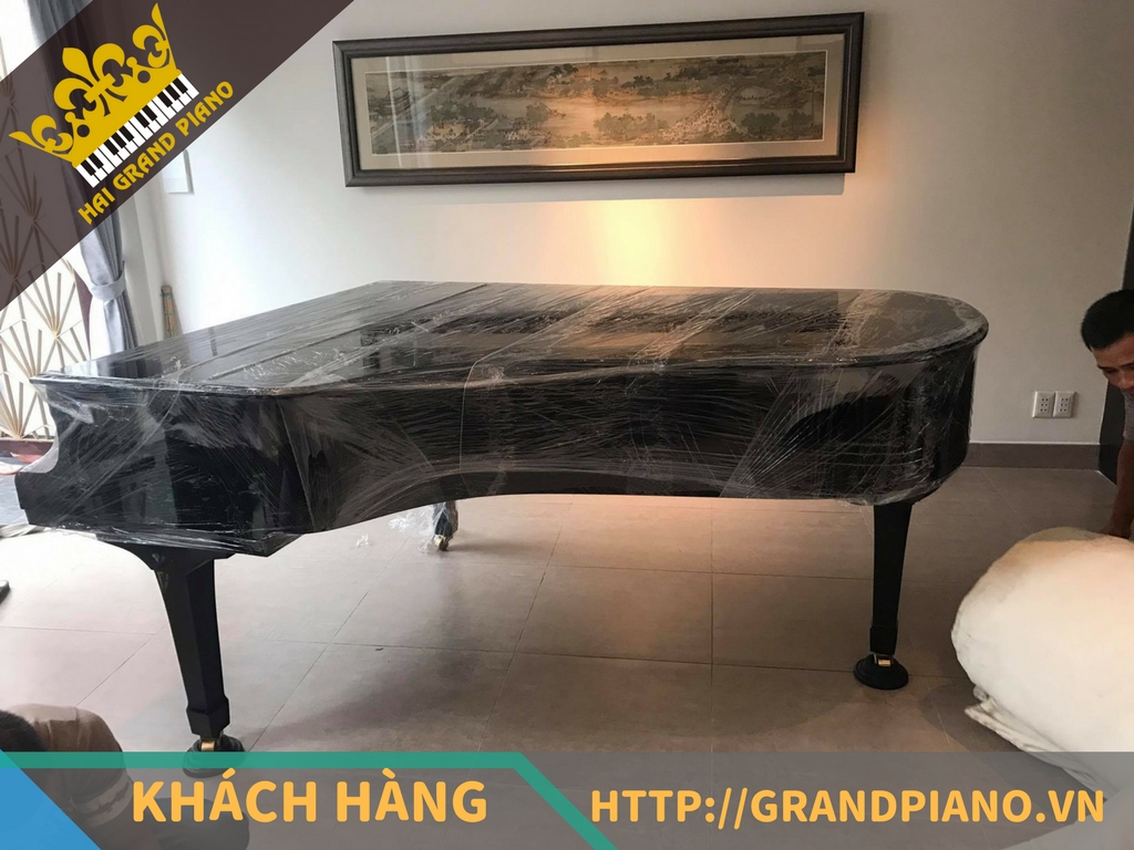 Võ Hùng - Đàn Grand Piano Yamaha C7 Concert 