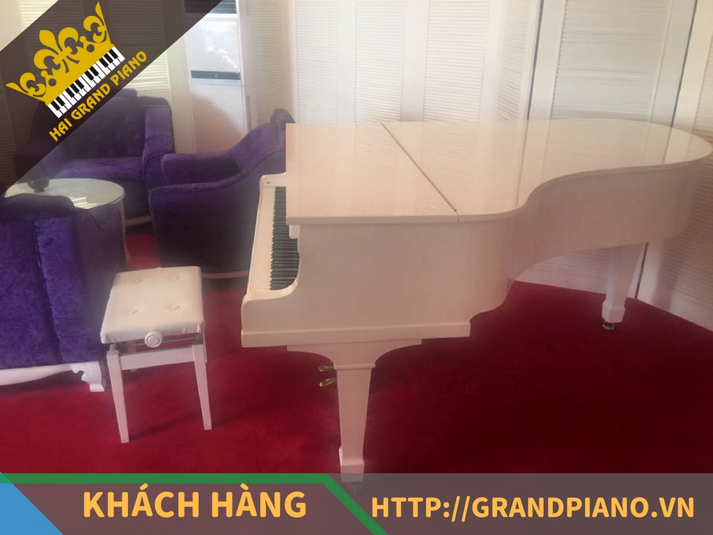 Yan TV - Đàn Piano Grand Yamaha G3 