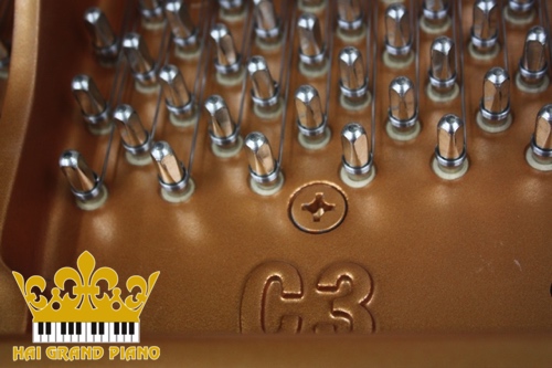 C3-GRAND-PIANO-4