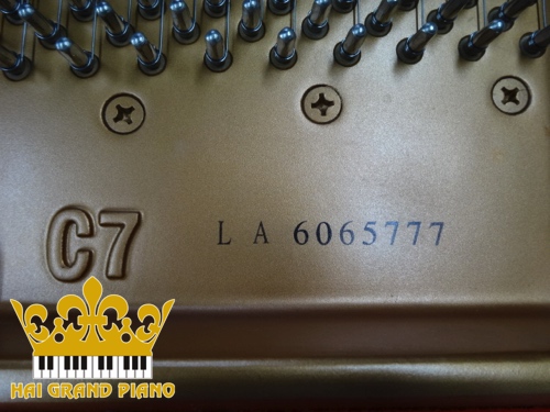 C7L-GRAND-2