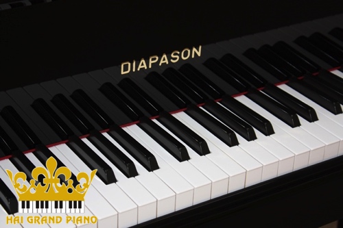 DIAPASON-GRAND-PIANO-8