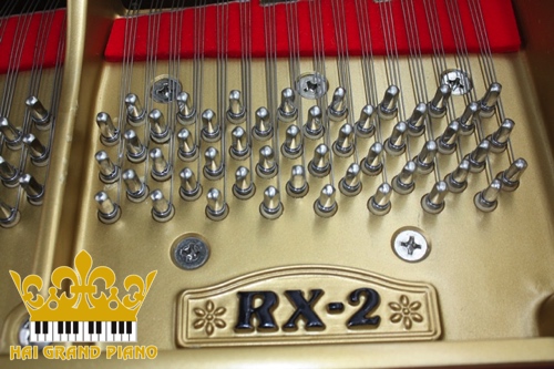 RX2-GRAND-PIANO-2