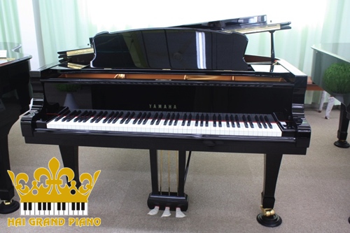 S6-GRAND-PIANO-2