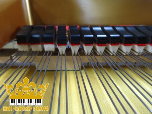 S6-GRAND-PIANO-6