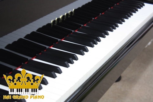 S6-GRAND-PIANO-7