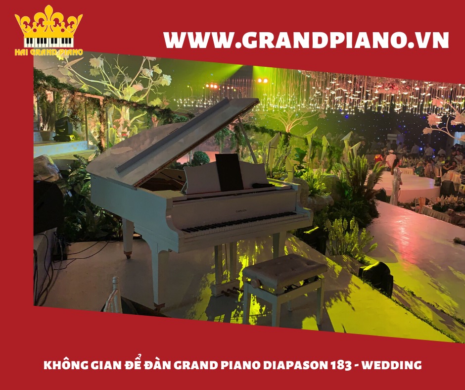 grand piano diapson 183 wedding_002