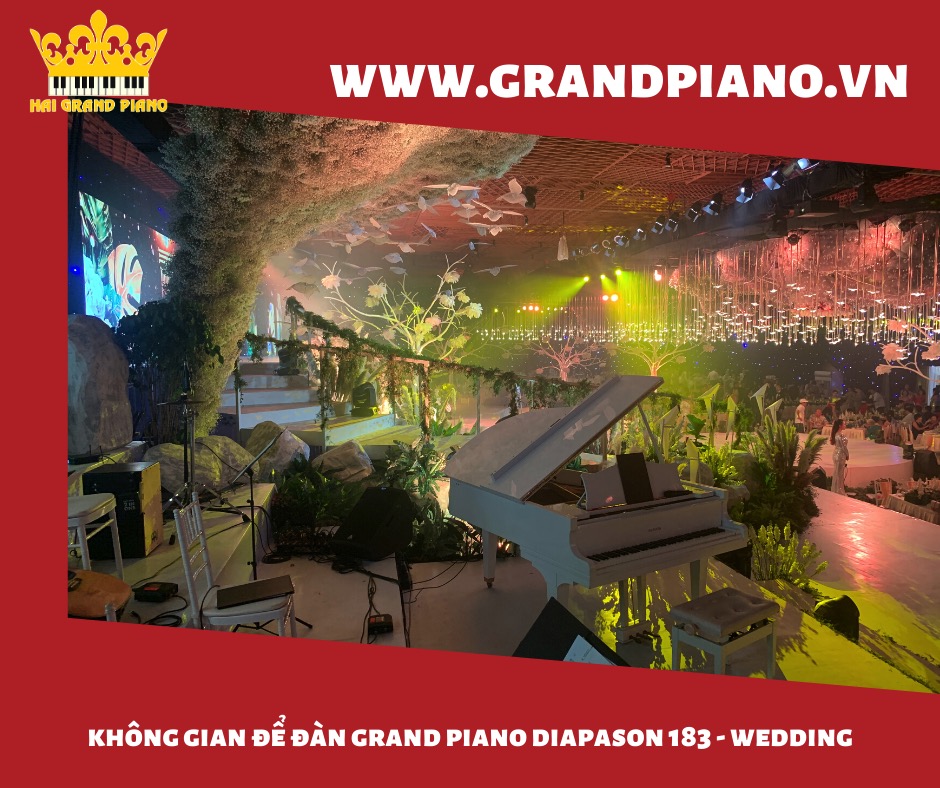 grand piano diapson 183 wedding_003