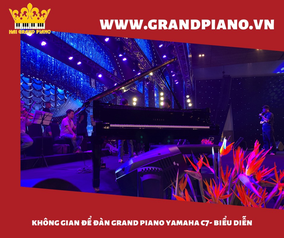 grand-piano-yamaha-c7_001