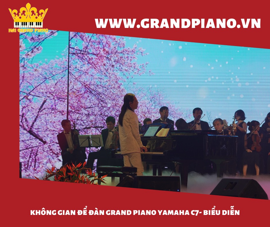 Không Grand Để Đàn Grand Piano Biểu Diễn Yamaha C7 | Event | NS Nguyễn Quang 