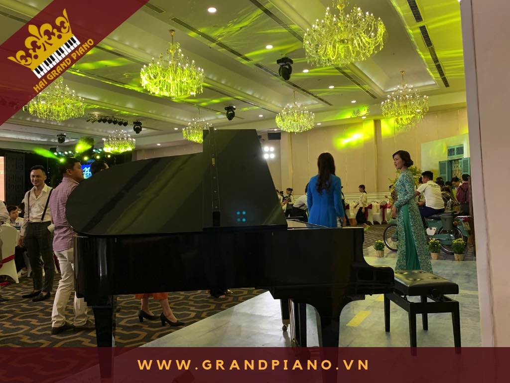 GRAND PIANO DIAPSON_001