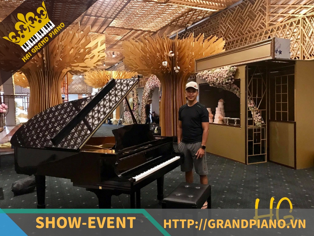 grand-piano-16