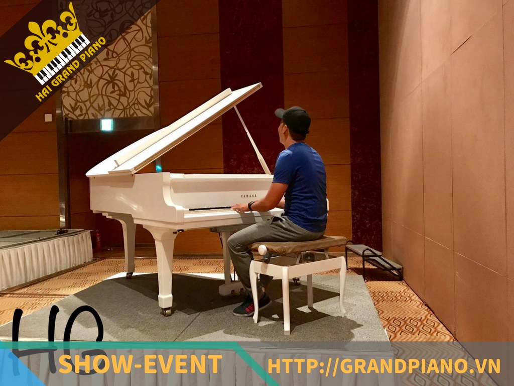 grand-piano-8