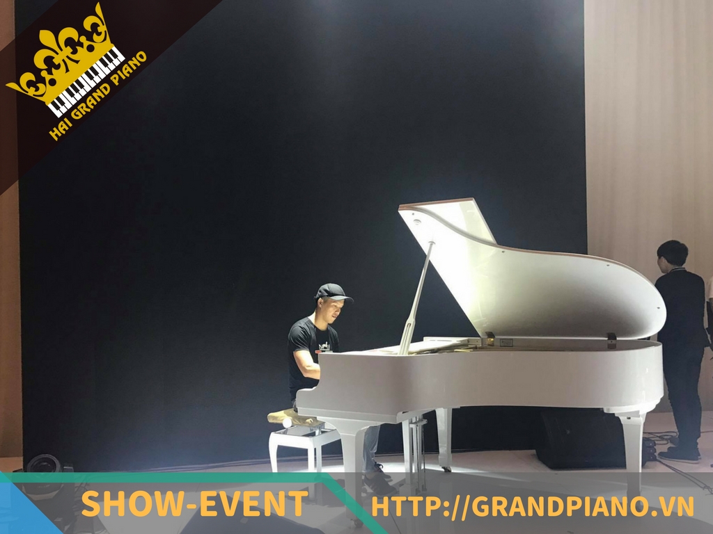 grand-piano-11