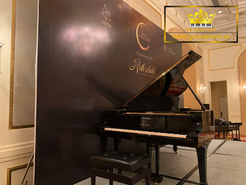 Grand Piano Yamaha C7 Biểu Diễn Event  | Hoàng Tử Anh 