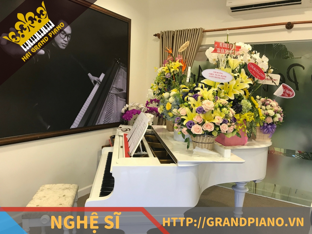 Nghệ Sĩ Piano Tuấn  Mạnh - Grand Piano Yamaha No.20
