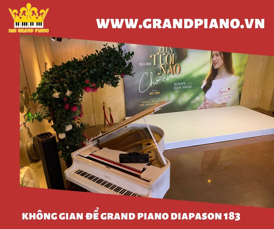 grand-piano-diapason-183-1