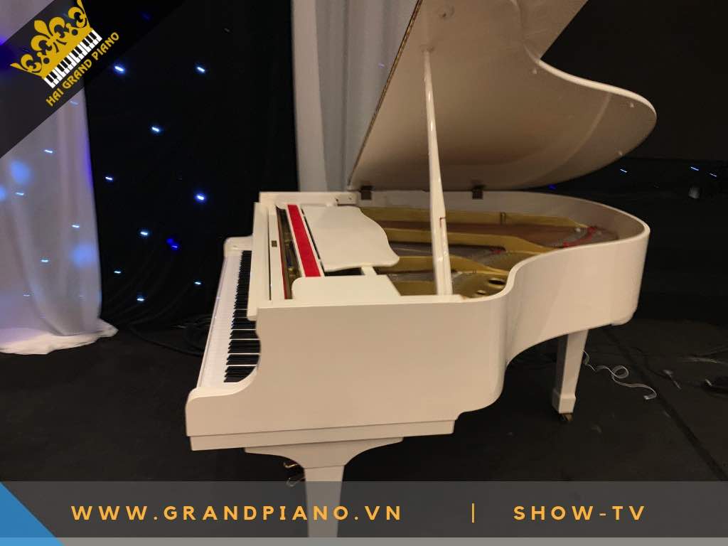 grand-piano-yamaha-2