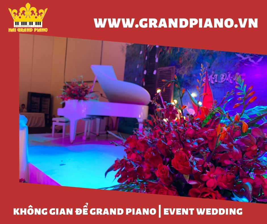 grand-piano-diâpson-5