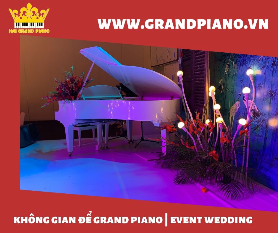 grand-piano-diâpson-6