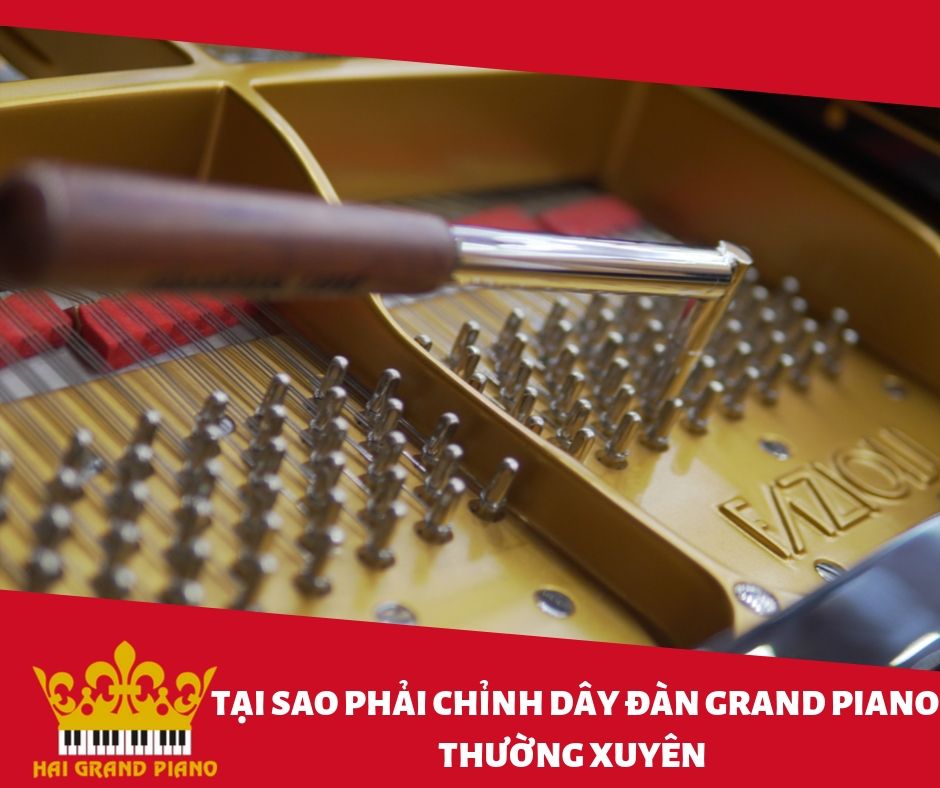 chinh-day-piano-grand-2