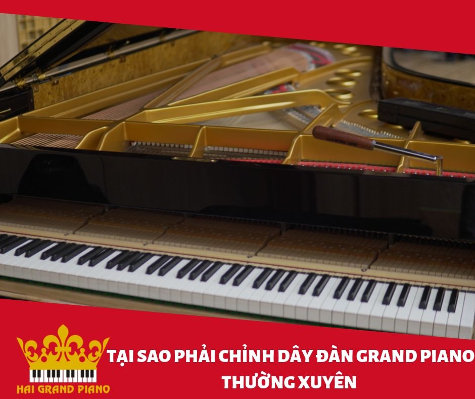 chinh-day-piano-grand-3