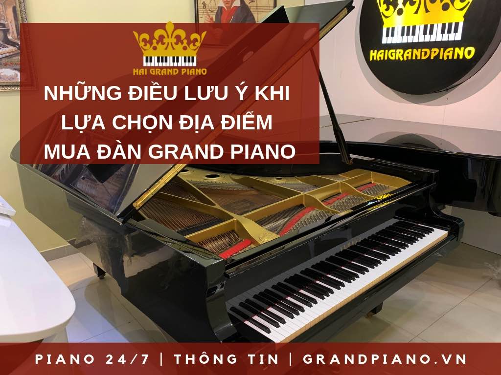 LUU-Y-KHI-MUA-DAN-GRAND-PIANO
