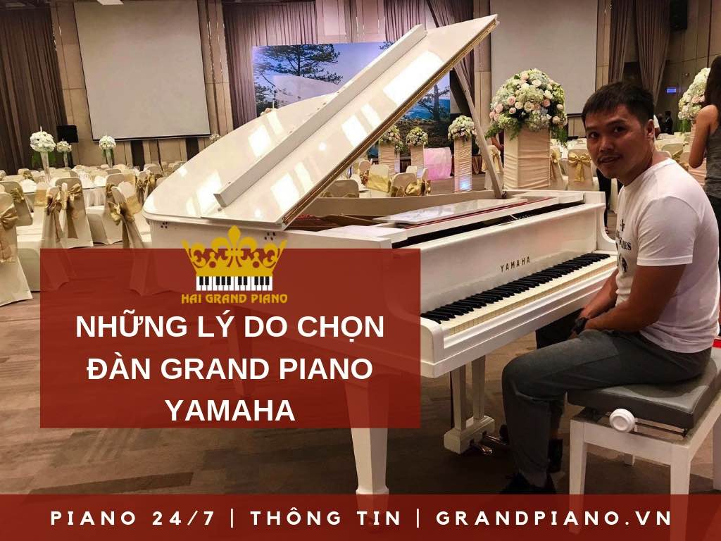 NHỮNG LÝ DO NÊN CHỌN ĐÀN GRAND PIANO YAMAHA 