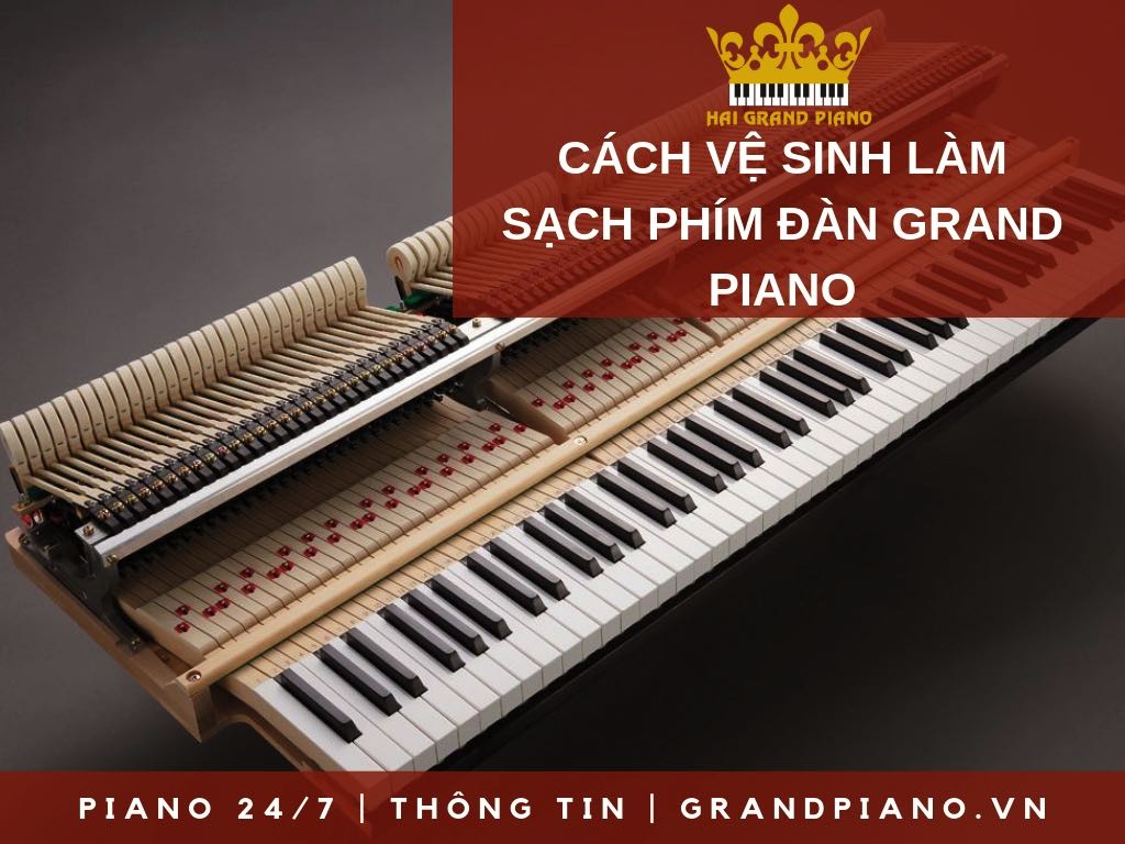 ve-sinh-phim-grand-piano