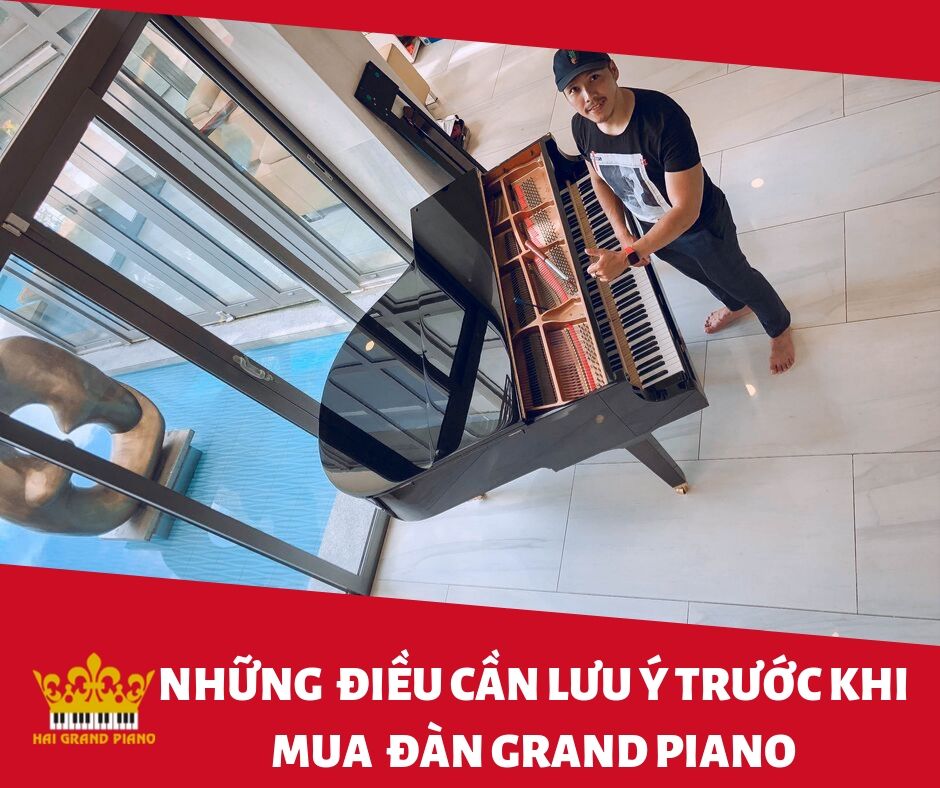 LUU-Y-KHI-MUA-GRAND-PIANO-4