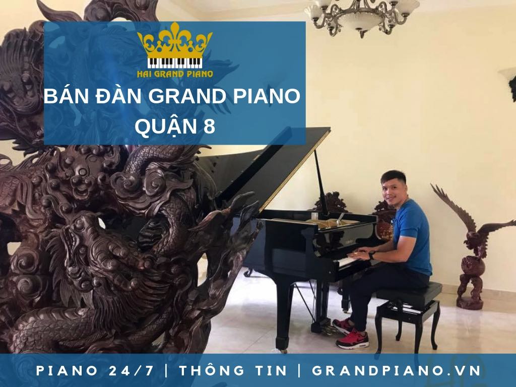 BÁN ĐÀN GRAND PIANO GIÁ RẺ QUẬN 8 - HẢI GRAND PIANO 