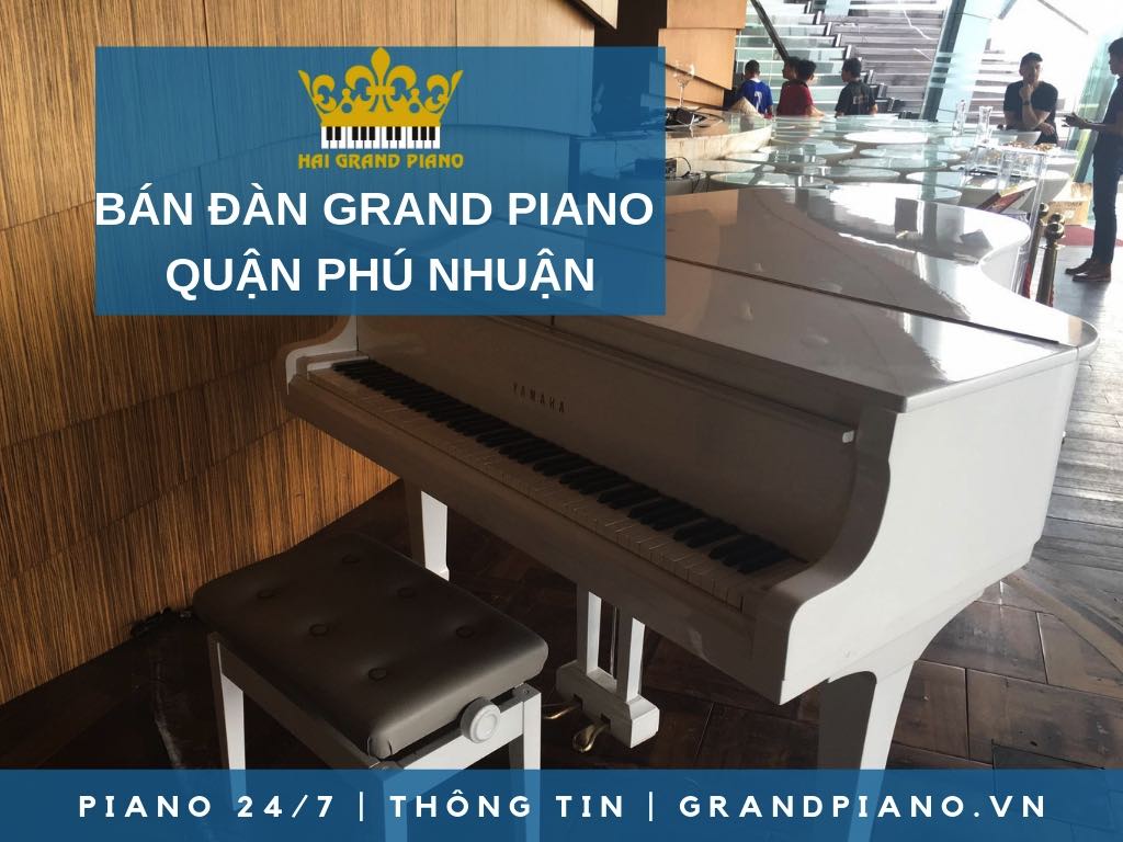 BÁN ĐÀN GRAND PIANO GIÁ RẺ QUẬN PHÚ NHUẬN - HẢI GRAND PIANO
