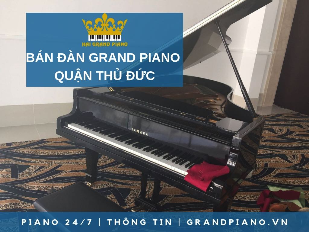 BÁN ĐÀN GRAND PIANO GIÁ RẺ QUẬN THỦ ĐỨC  - HẢI GRAND PIANO 