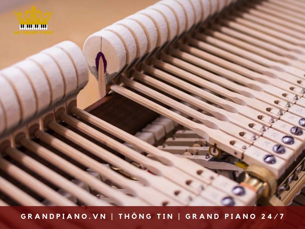 bua-dan-grand-piano-(hammer)_001