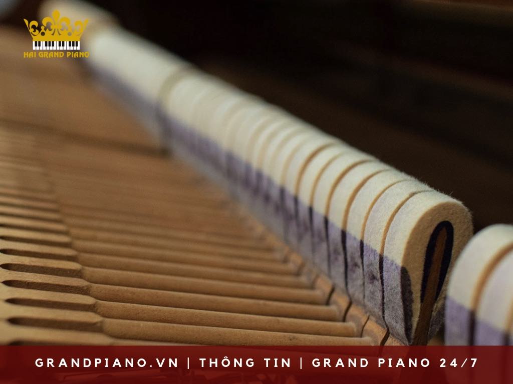 bua-dan-grand-piano-(hammer)_004